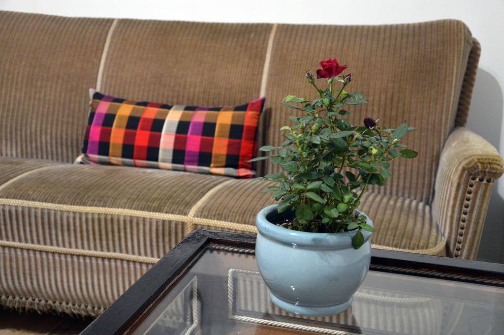 Hotel Interno 45 Matera Zewnętrze zdjęcie
